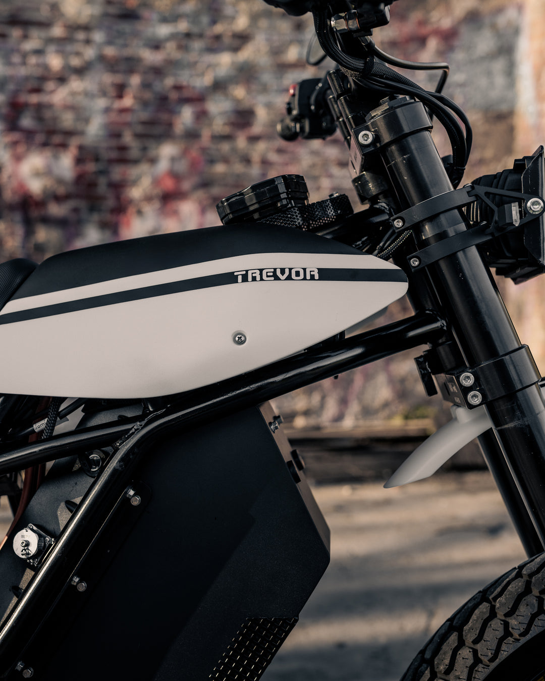 DTRe Vince – Trevor Motorcycles
